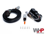 WHP Wideband Oxygen Sensor Kit- Bosch 4.2 with harness