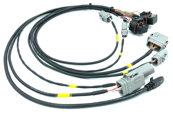 KSV Looms Bench Test Loom for MoTeC M130, M150 Series ECU